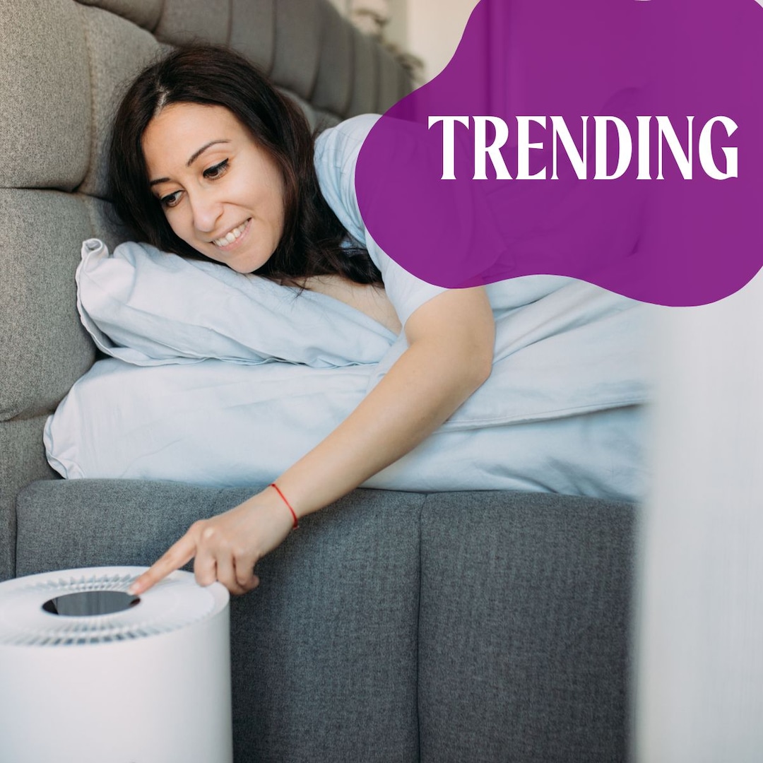 The Best Air Purifiers for Spring and Summer Allergies